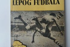 Knjiga-1954-u-zemlji-lepog-fudbala